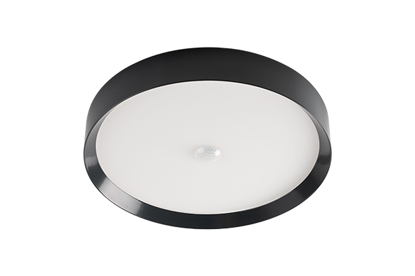 LED Ceiling Light RGBW Air Anthrazit 100287