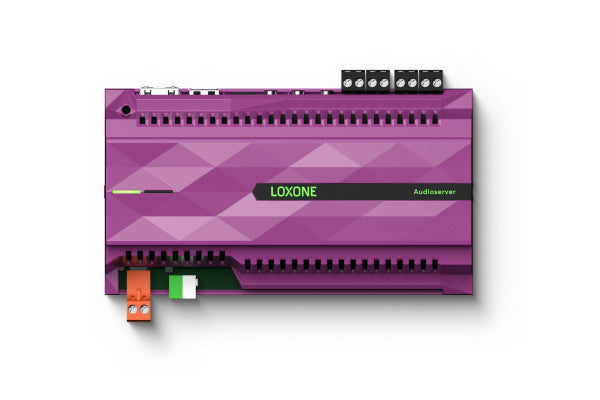 Audioserver 100428