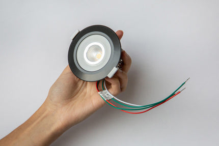 LED Spot RGBW Tree Anthrazit 100334
